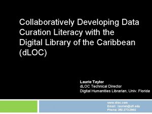 Collaboratively Developing Data Curation Literacy with the Digital