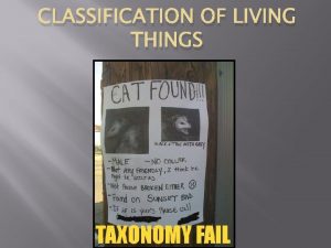 CLASSIFICATION OF LIVING THINGS CLASSIFICATION Biology Taxonomy Scientists