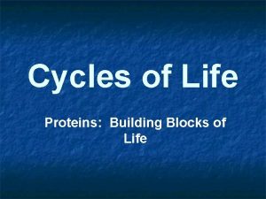 Cycles of Life Proteins Building Blocks of Life