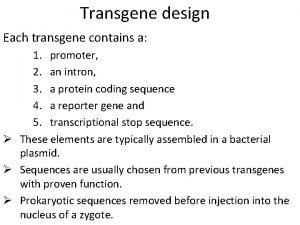 Transgene design Each transgene contains a 1 promoter