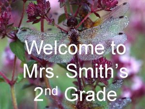 Welcome to Mrs Smiths nd 2 Grade Mrs