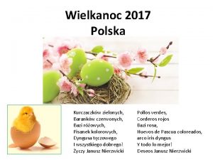 Wielkanoc 2017 Polska Kurczaczkw zielonych Barankw czerwonych Bazi