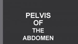 PELVIS OF THE ABDOMEN Introduction ARTICULATED PELVIS Anatomical