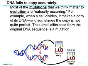 DNA fails to copy accurately Most of the