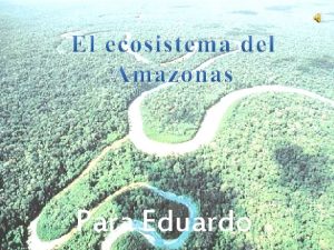 Para Eduardo Dnde est situado ECOSISTEMA La selva