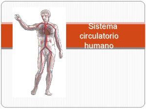 Sistema circulatorio humano El aparato circulatorio Es la