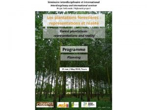 Reforest project Reforest Representations and reality of planted