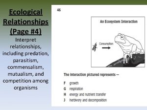 Ecological Relationships Page 4 Interpret relationships including predation