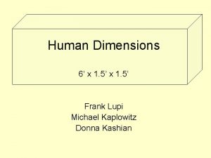 Human Dimensions 6 x 1 5 Frank Lupi