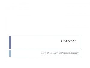 Chapter 6 How Cells Harvest Chemical Energy How