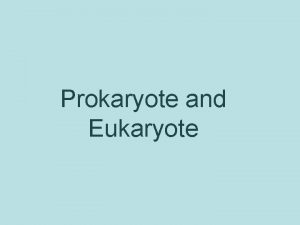 Prokaryote and Eukaryote Prokaryotes Means before nucleus or