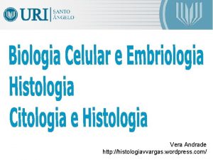 Vera Andrade http histologiavvargas wordpress com 1 O