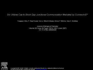Src Utilizes Cas to Block Gap Junctional Communication