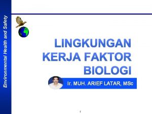 Environmental Health and Safety Ir MUH ARIEF LATAR