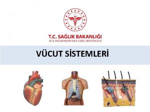 VCUT SSTEMLER Sunum Plan Dolam Sistemi Solunum Sistemi