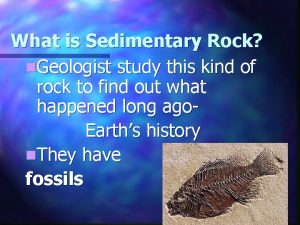 What is Sedimentary Rock n Geologist study this