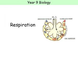 Year 9 Biology Respiration Year 9 Biology Respiration