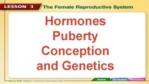 Hormones Puberty Conception and Genetics Hormones Puberty Conception