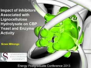 Impact of Inhibitors Associated with Lignocellulose Hydrolysate on