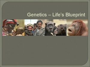 Genetics Lifes Blueprint Monogenic Traits aka Simple Inheritance