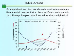 IRRIGAZIONE Somministrazione di acqua alla coltura mirante a