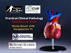 Practical Clinical Pathology Outside Lab Tests Wendy Blount