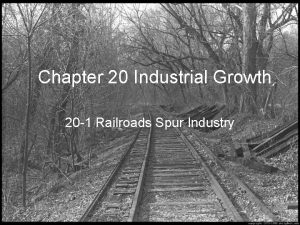 Chapter 20 Industrial Growth 20 1 Railroads Spur
