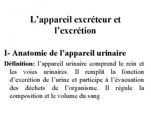 Lappareil excrteur et lexcrtion I Anatomie de lappareil