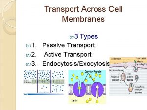 Transport Across Cell Membranes 3 Types 1 Passive