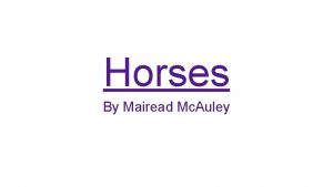 Horses By Mairead Mc Auley What horses look