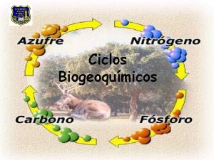 Ciclos Biogeoqumicos Ciclos biogeoqumicos Son procesos que consideran