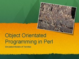 Object Orientated Programming in Perl Simulated Models of