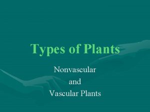 Types of Plants Nonvascular and Vascular Plants NonVascular