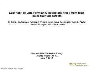 Leaf habit of Late Permian Glossopteris trees from