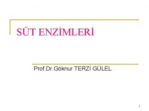 ST ENZMLER Prof Dr Gknur TERZ GLEL 1