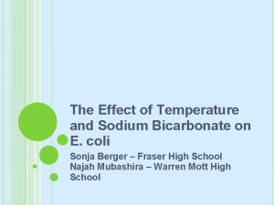 The Effect of Temperature and Sodium Bicarbonate on