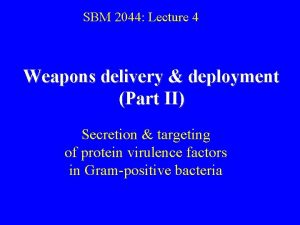 SBM 2044 Lecture 4 Weapons delivery deployment Part