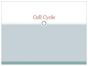 Cell Cycle Types of Cells Prokaryotes Eukaryotes Question