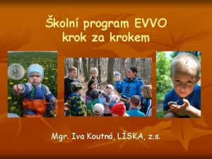 koln program EVVO krok za krokem Mgr Iva