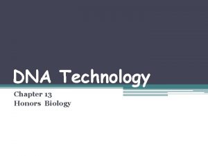 DNA Technology Chapter 13 Honors Biology Genetically Modified