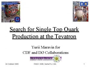 Search for Single Top Quark Production at the Search for Single Top Quark Production at the