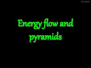 22122021 Energy flow and pyramids 22122021 LIGHT is