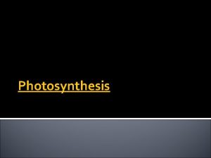 Photosynthesis Directly or indirectly almost all of the