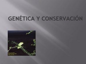 GENTICA Y CONSERVACIN Gentica y Conservacin Contenido La