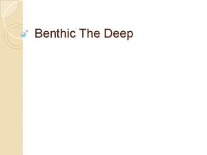 Benthic The Deep Benthic Overview The Deep Abyssalpelagic