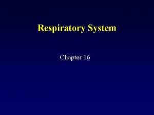 Respiratory System Chapter 16 A FUNCTIONS gas exchange