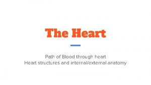 The Heart Path of Blood through heart Heart