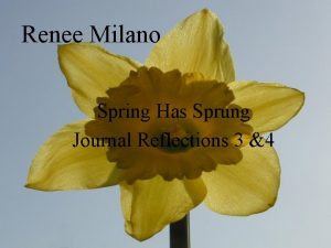 Renee Milano Spring Has Sprung Journal Reflections 3