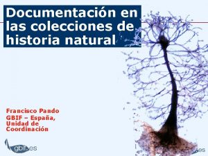 Documentacin en las colecciones de historia natural Francisco