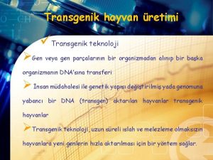 Transgenik hayvan retimi Transgenik teknoloji Gen veya gen